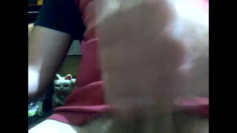 Snapshot of gmjavenger chatting on January 17, 2025, 8:45 am PencilDick online show from January 17, 2025, 8:45 am