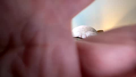 gngnxxx online show from October 7, 2025, 12:02 pm