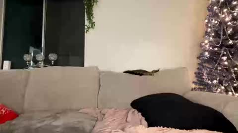 GoddessMayvn online show from December 26, 2024, 3:59 am