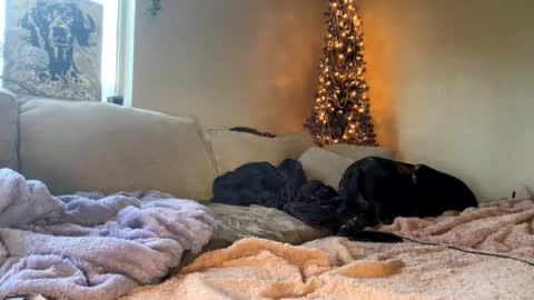 GoddessMayvn online show from January 10, 2025, 3:48 pm