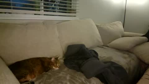 GoddessMayvn online show from January 26, 2025, 10:34 am