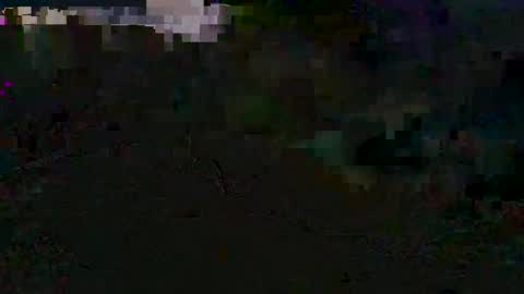 godonsin online show from December 10, 2024, 2:28 pm