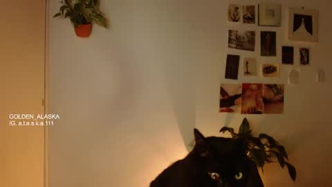 Alaska online show from November 5, 2025, 11:05 pm