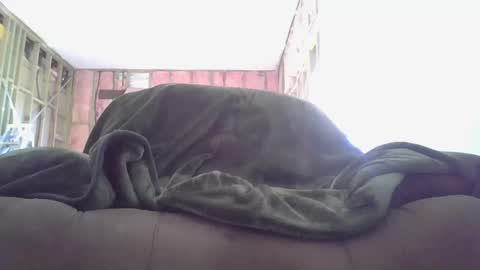 Snapshot of goodcock12345 chatting on December 3, 2024, 8:28 pm goodcock12345 online show from December 3, 2024, 8:28 pm