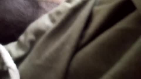 Arab Pronstar online show from January 5, 2025, 9:25 pm