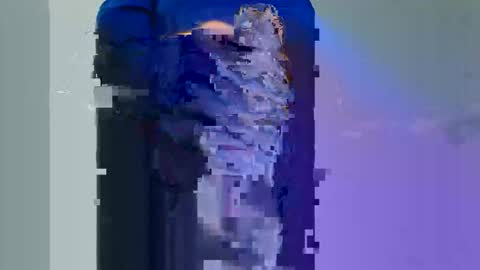 Snapshot of graben78 chatting on November 30, 2025, 1:59 pm Longwood online show from November 30, 2025, 1:59 pm