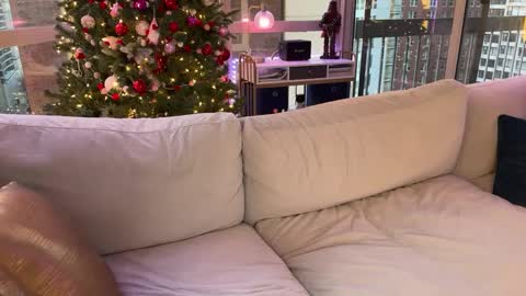 Snapshot of graciemae_baexx chatting on January 17, 2025, 10:23 pm Gracie Mae online show from January 17, 2025, 10:23 pm