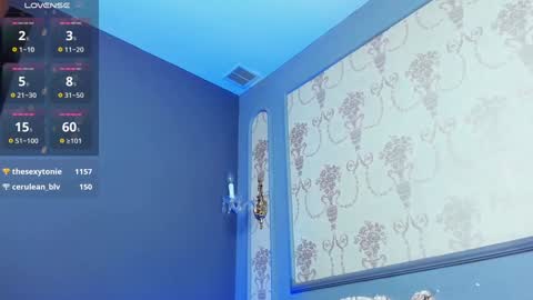 Snapshot of grantblake chatting on February 6, 2025, 9:32 am Grant online show from February 6, 2025, 9:32 am