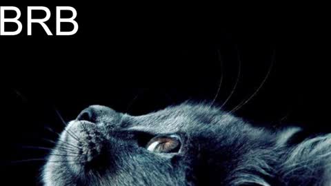 Snapshot of graycewild chatting on January 31, 2025, 11:24 am GrayceWild online show from January 31, 2025, 11:24 am