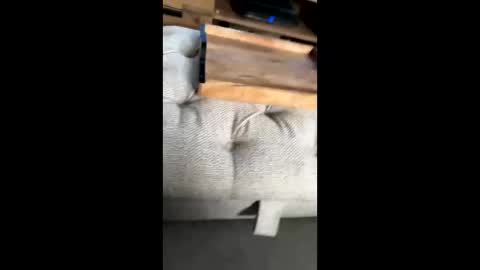 gt79802068 online show from November 22, 2025, 12:04 pm