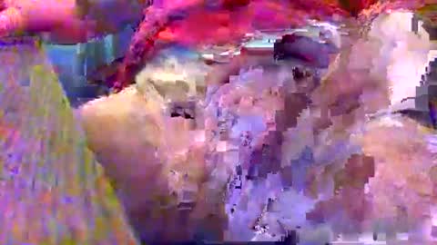 Gary online show from December 12, 2024, 2:37 am