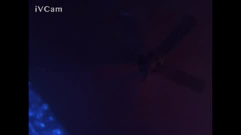 hahauwish007 online show from December 10, 2024, 7:16 am