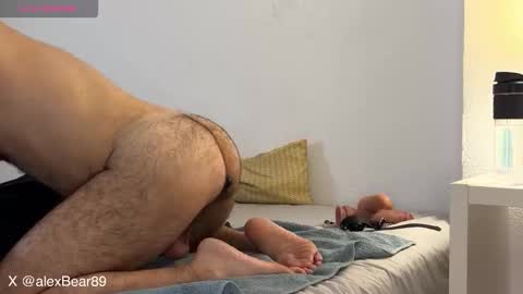 hairyarabbear online show from December 2, 2025, 11:34 pm
