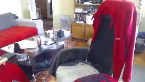 Snapshot of hairyass25yo chatting on February 15, 2025, 12:01 pm Puppy3 StockyDaddiesmusclebearsbeefybigmans online show from February 15, 2025, 12:01 pm