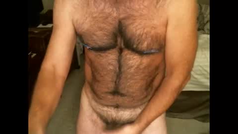 Hairy pecs online show from November 20, 2025, 8:47 am