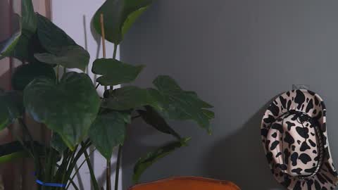 Snapshot of hairyrobxxx chatting on September 20, 2025, 10:05 am HairyRobXxX online show from September 20, 2025, 10:05 am