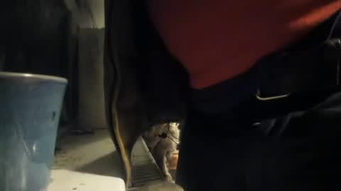 Snapshot of handncocknocum chatting on December 8, 2024, 5:22 pm handncocknocum online show from December 8, 2024, 5:22 pm