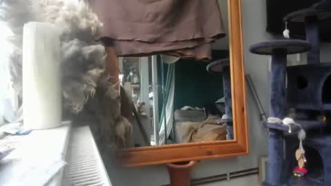 Snapshot of handncocknocum chatting on December 9, 2024, 8:44 am handncocknocum online show from December 9, 2024, 8:44 am