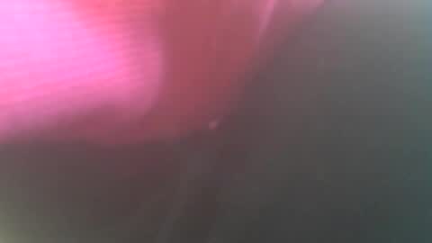 hannes_k online show from December 26, 2024, 9:55 am