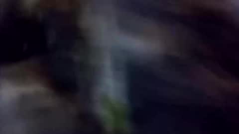 Snapshot of happydick69a chatting on October 2, 2025, 1:29 pm happydick69a online show from October 2, 2025, 1:29 pm