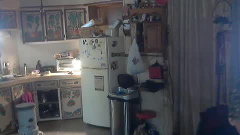 Snapshot of hardinhand44 chatting on March 10, 2025, 4:35 pm john nobles online show from March 10, 2025, 4:35 pm