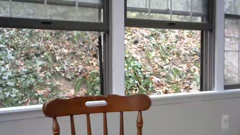 hardworkertn online show from February 8, 2025, 7:16 pm