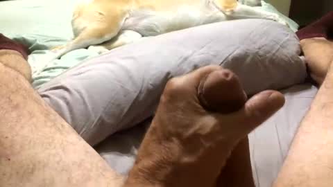 Harley99 online show from November 11, 2025, 1:16 am