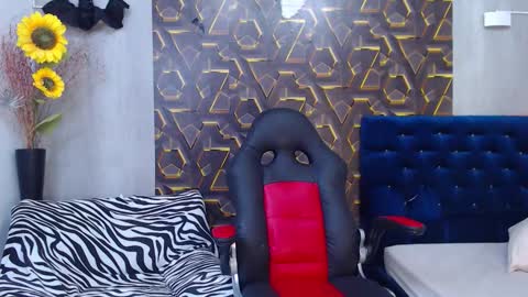 Harry online show from November 8, 2025, 8:29 pm