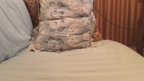 havedream1m online show from October 13, 2025, 9:42 am