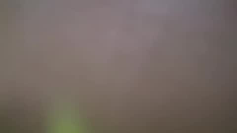 ZhongLi online show from February 14, 2025, 2:54 pm