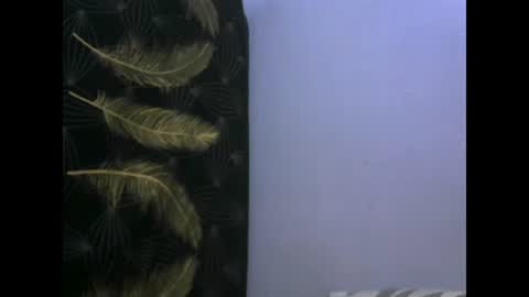 healyn online show from January 27, 2025, 3:47 am