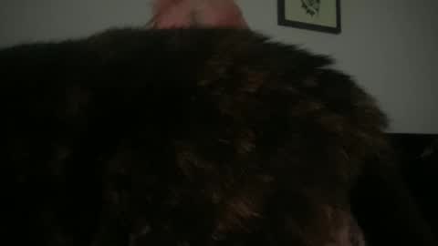 Bunnie Rotz online show from March 2, 2025, 2:32 pm