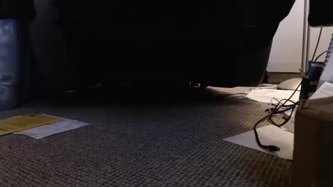 henryjxxx online show from January 12, 2025, 4:18 pm