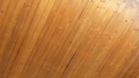 Noraly  online show from February 4, 2025, 11:05 am