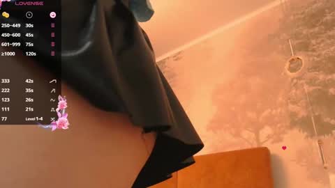 Snapshot of hiaru_cutie chatting on December 11, 2024, 8:47 am Hiaru online show from December 11, 2024, 8:47 am