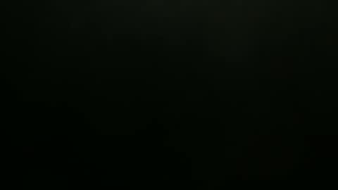 hibus_85 online show from November 7, 2025, 1:33 pm