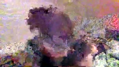 hometownwitch online show from November 25, 2025, 6:19 pm