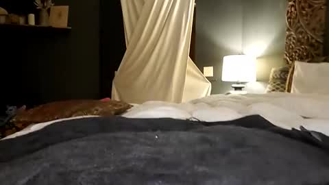 Honey online show from October 17, 2025, 6:27 am