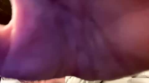 Snapshot of hornyboi2710 chatting on September 10, 2025, 10:54 pm Justin 7 inches online show from September 10, 2025, 10:54 pm