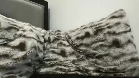 Snapshot of hornycumsh0t chatting on November 3, 2025, 1:40 am cumsh0tking online show from November 3, 2025, 1:40 am