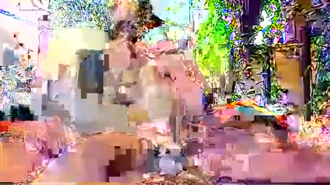 hornyhotgy27 online show from December 6, 2024, 9:46 pm