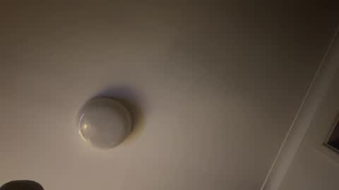 Snapshot of hornyonelooking1 chatting on February 2, 2025, 11:40 am hornyonelooking1 online show from February 2, 2025, 11:40 am