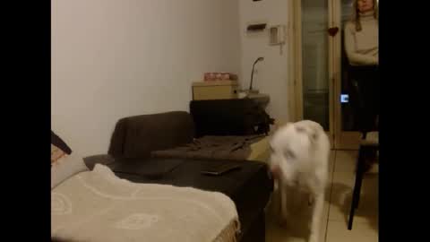 Snapshot of hornyssima chatting on January 12, 2025, 5:01 pm Hornyssima online show from January 12, 2025, 5:01 pm