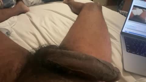 Bbc horsey online show from February 16, 2025, 12:21 pm