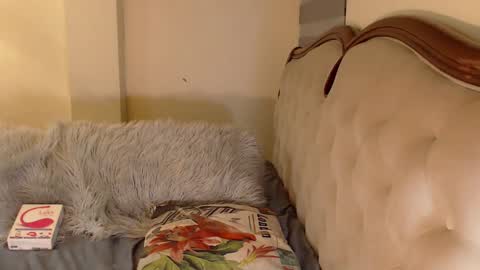 Miss ELY online show from October 29, 2025, 4:59 am