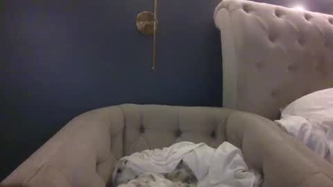 Snapshot of hothousewife333 chatting on September 20, 2025, 3:07 am hothousewife333 online show from September 20, 2025, 3:07 am