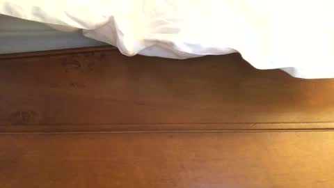 Snapshot of hotmuff99 chatting on February 11, 2025, 8:58 am hotmuff99 online show from February 11, 2025, 8:58 am