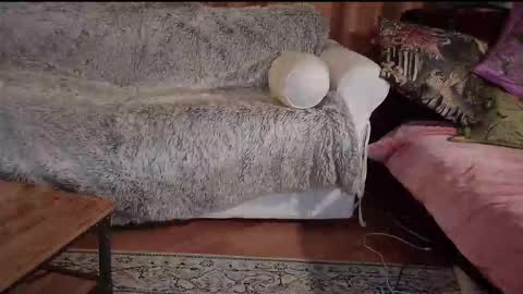 Betty boob online show from October 31, 2025, 8:21 pm