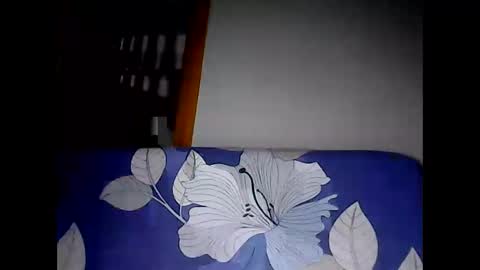 Leen online show from February 11, 2025, 12:17 am