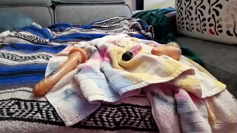 houdicky2 online show from September 19, 2025, 3:08 am